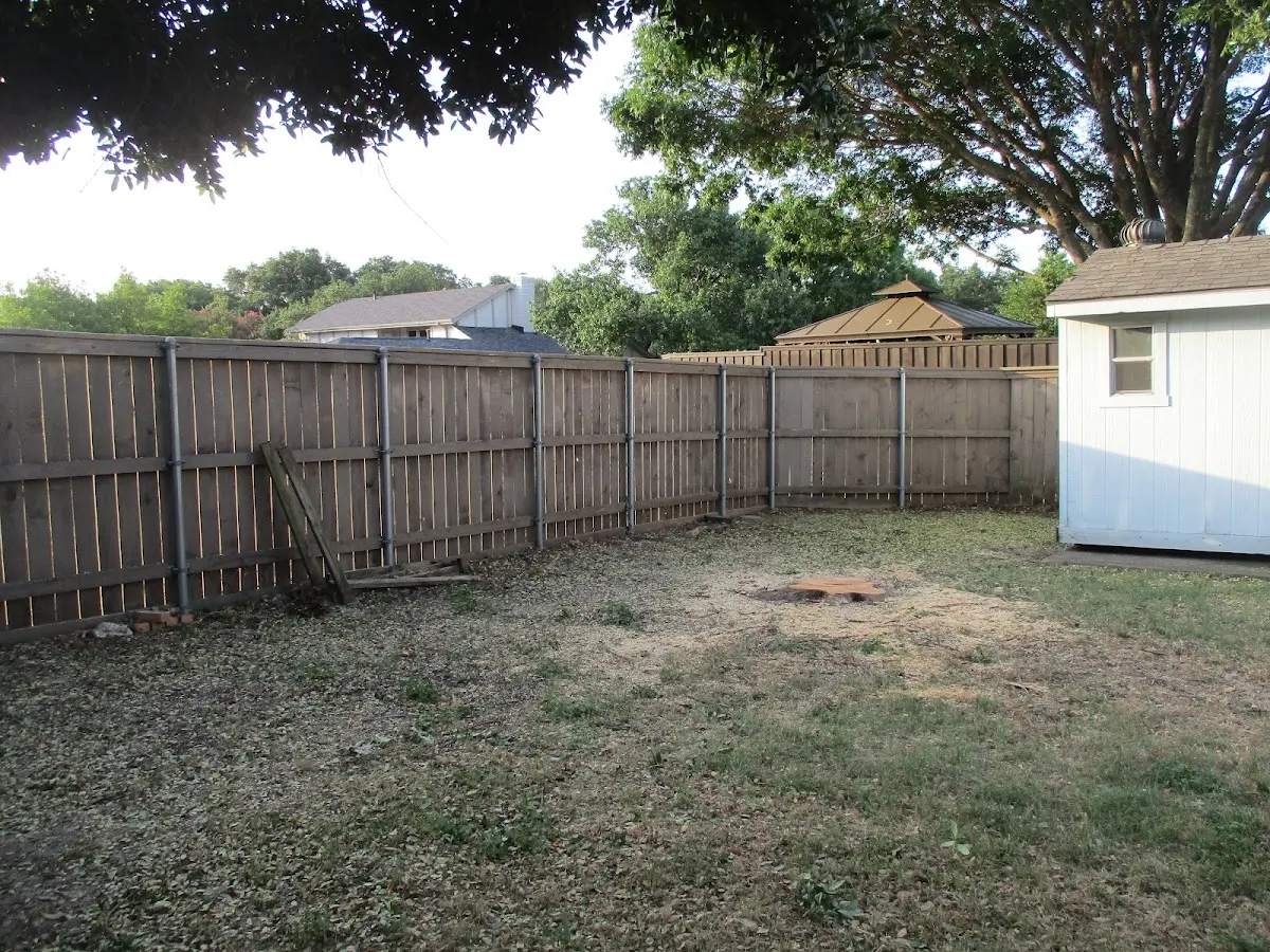 Cleared yard after professional tree removal in East Greenwich